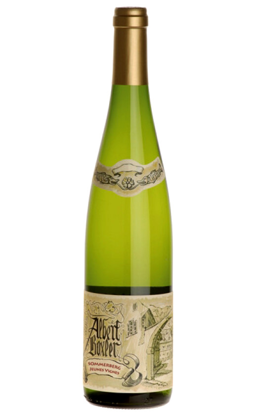 Albert Boxler Riesling Grand Cru Sommerberg Jeunes Vignes Alsace 2008