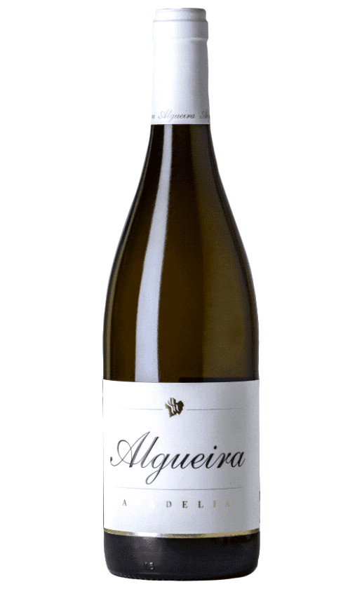 Algueira Anadelia Ribeira Sacra 2015