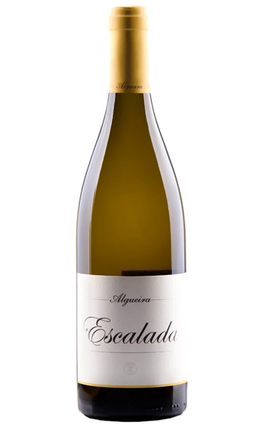 Algueira Escalada Ribeira Sacra 2018