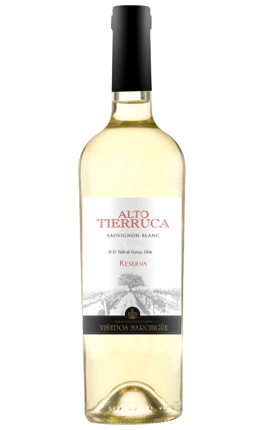Alto Tierruca Sauvignon Blanc Reserva Curico Valley
