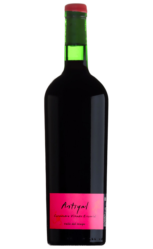 Antiyal Carmenere 2017