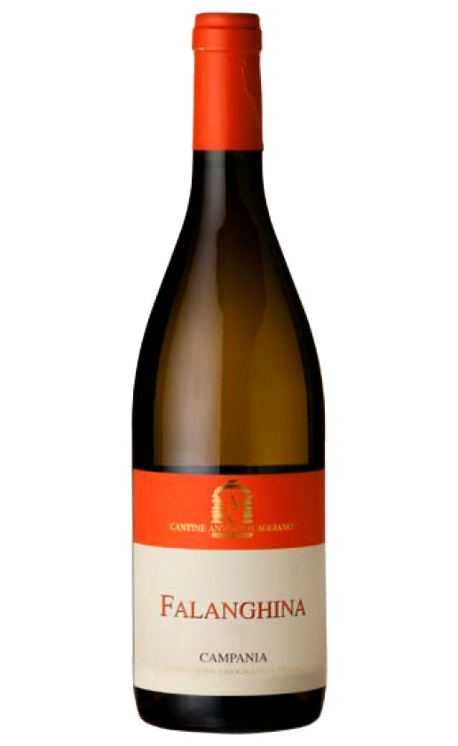 Antonio Caggiano Falanghina Campania 2016