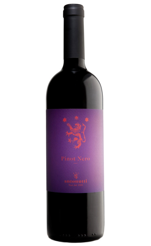 Antonutti Pinot Nero Friuli Grave 2019