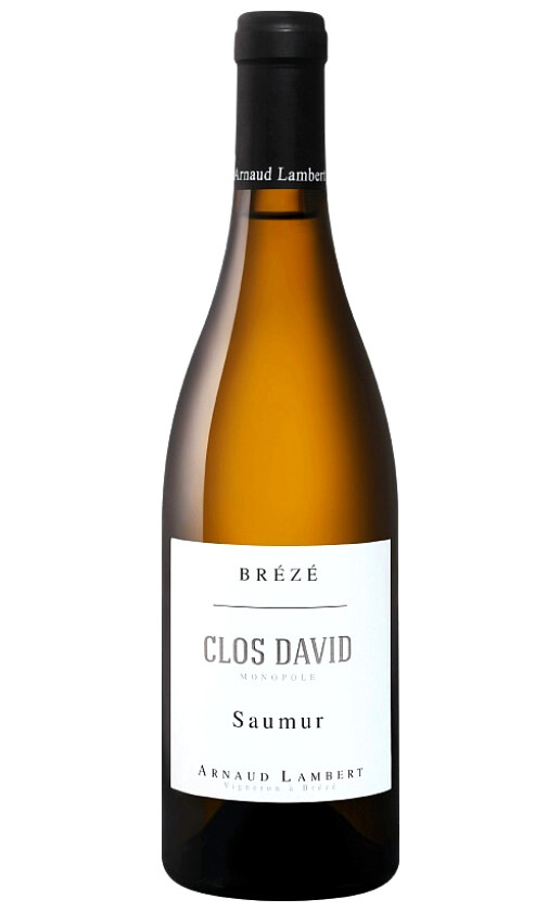 Arnaud Lambert Clos David Monopole Saumur 2018