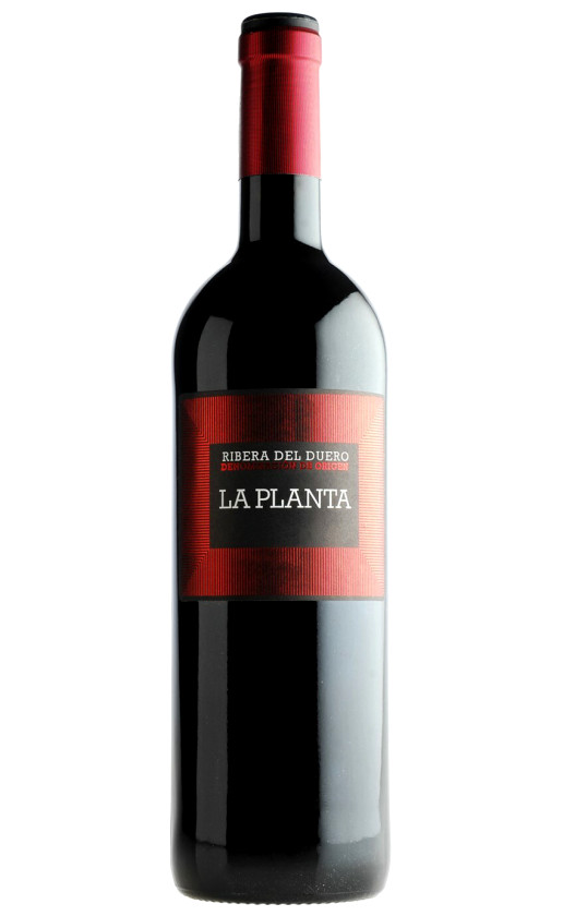 Arzuaga Navarro La Planta 2019