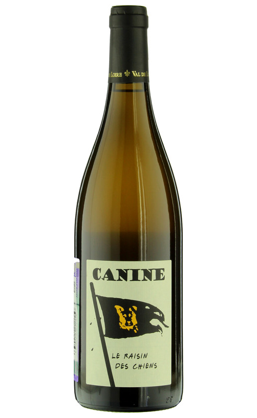 Baptiste Cousin Canine 2017