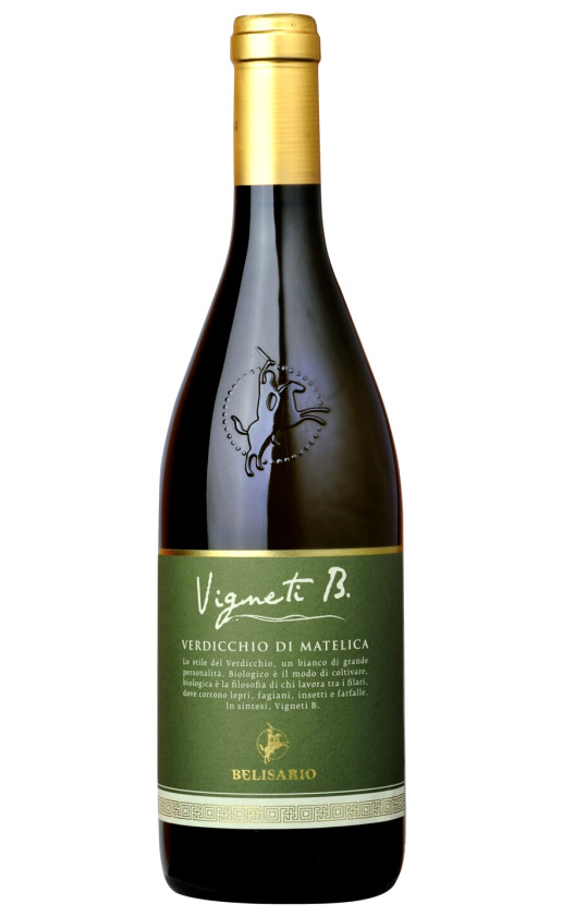 Belisario Vigneti B Verdicchio di Matelica 2019