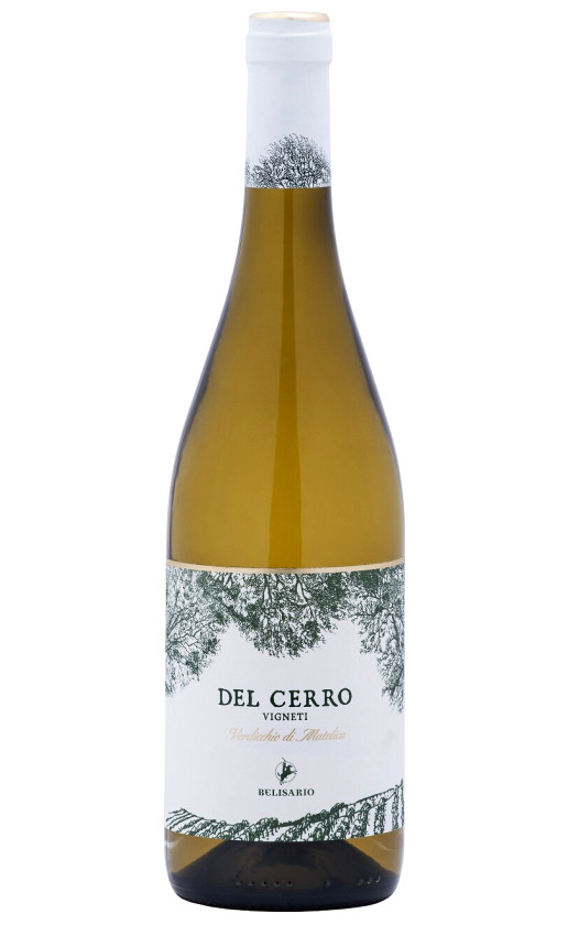 Belisario Vigneti del Cerro Verdicchio di Matelica 2014