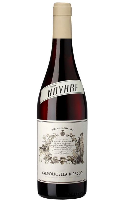 Bertani Tenuta Novare Valpolicella Ripasso 2018