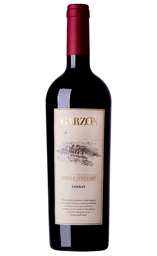 Bodega Garzon Single Vineyard Tannat