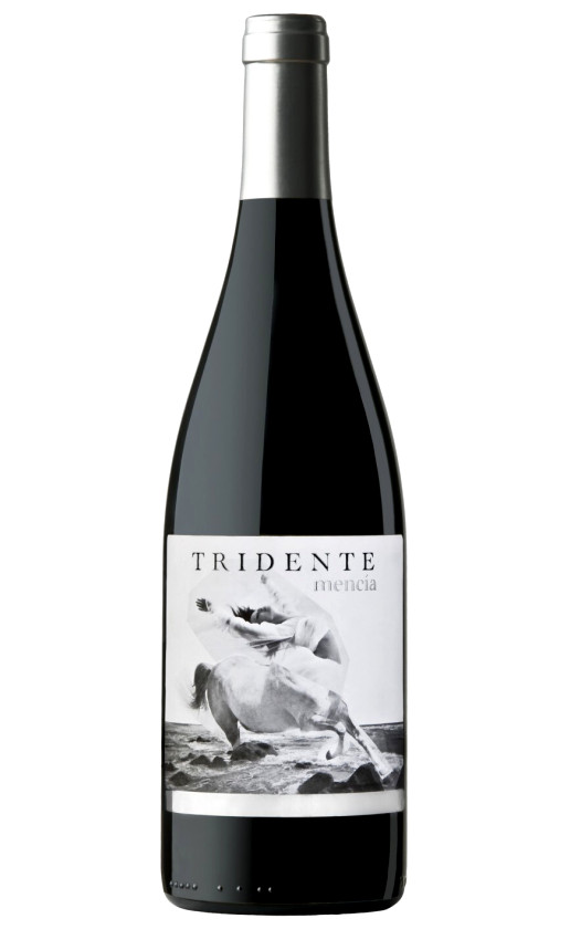 Bodegas Triton Tridente Mencia