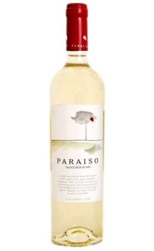 Bodegas y Vinedos de Aguirre Paraiso Sauvignon Blanc
