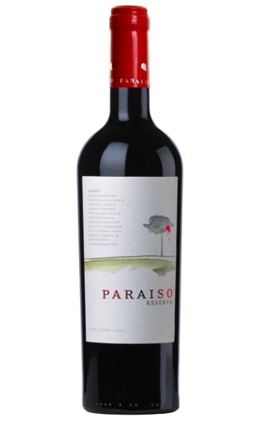Bodegas y Vinedos de Aguirre Paraiso Syrah Reserva