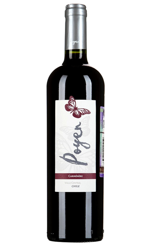 Bodegas y Vinedos de Aguirre Poyen Carmenere Central Valley 2013