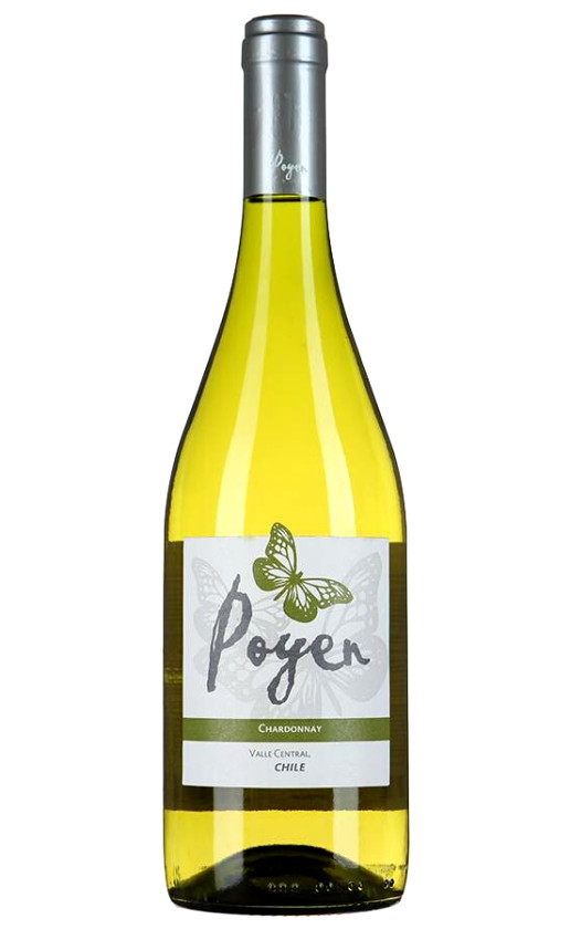Bodegas y Vinedos de Aguirre Poyen Chardonnay Central Valley 2014
