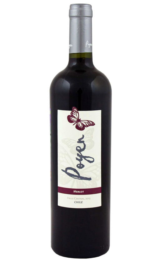 Bodegas y Vinedos de Aguirre Poyen Merlot Central Valley 2013