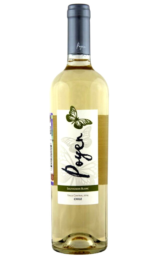 Bodegas y Vinedos de Aguirre Poyen Sauvignon Blanc Central Valley 2014
