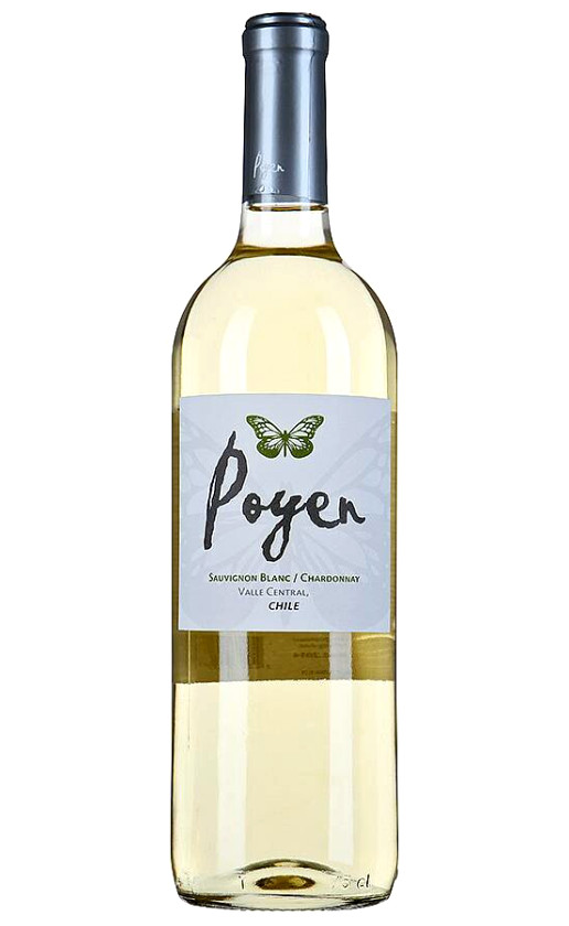 Bodegas y Vinedos de Aguirre Poyen Sauvignon Blanc Chardonnay Central Valley 2013