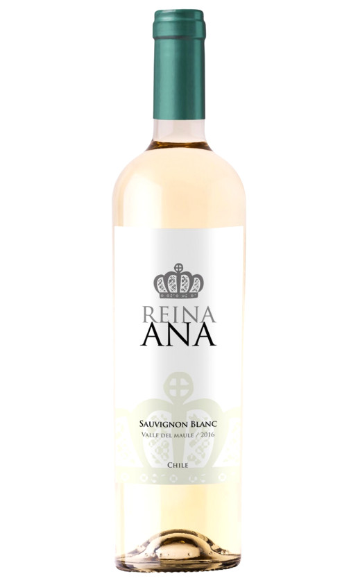 Bodegas y Vinedos de Aguirre Reina Ana Sauvignon Blanc Valle del Maule 2016