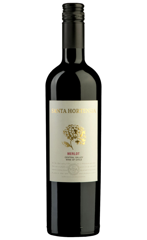 Bodegas y Vinedos de Aguirre Santa Hortensia Merlot Central Valley