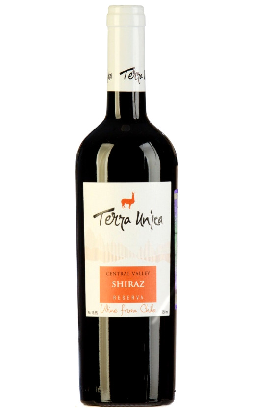 Bodegas y Vinedos de Aguirre Terra Unica Shiraz Reserva Central Valley