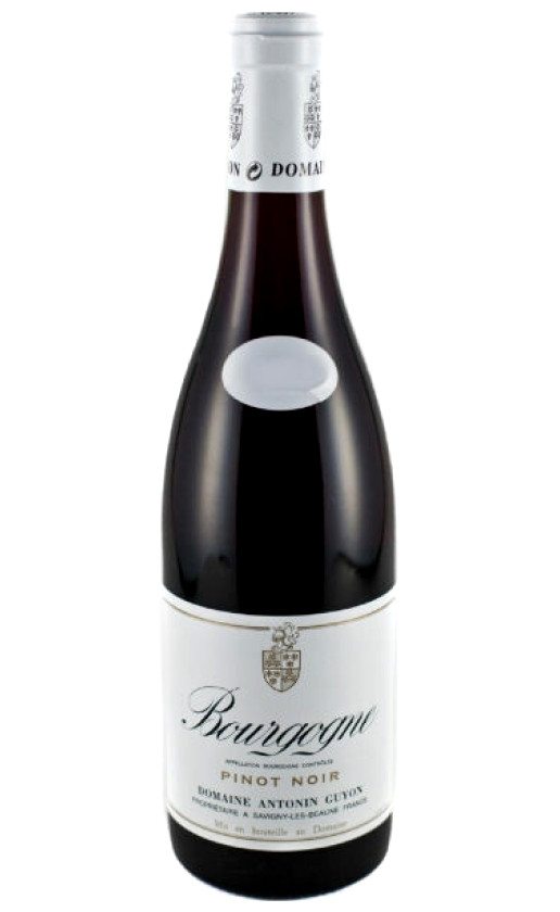 Bourgogne Pinot Noir
