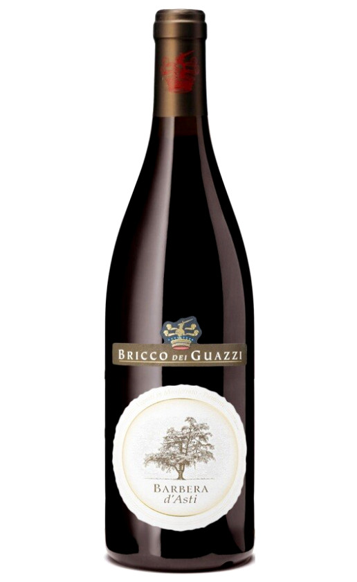 Bricco dei Guazzi Barbera d'Asti 2011