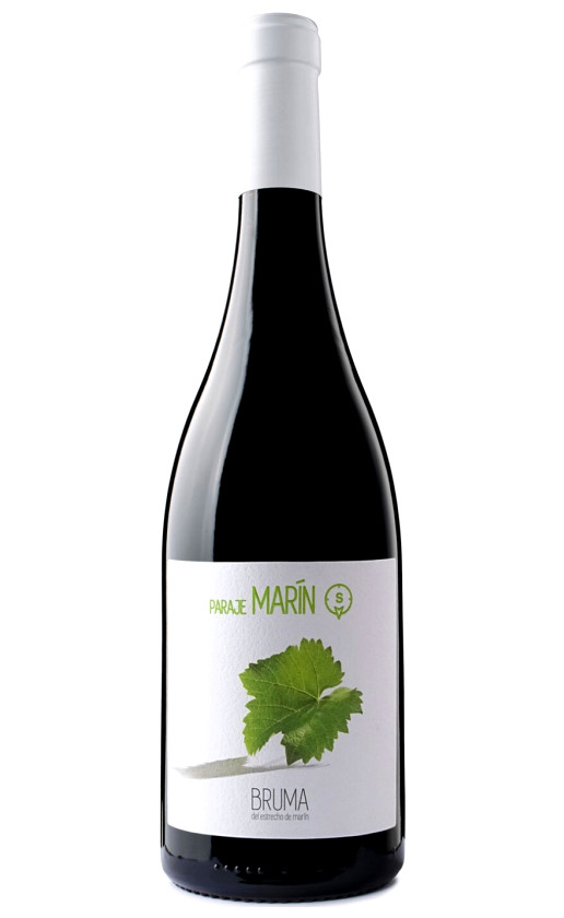 Bruma del Estrecho de Marin Paraje Marin