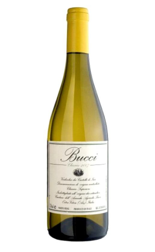 Bucci Verdicchio dei Castelli di Jesi Classico Superiore 2008
