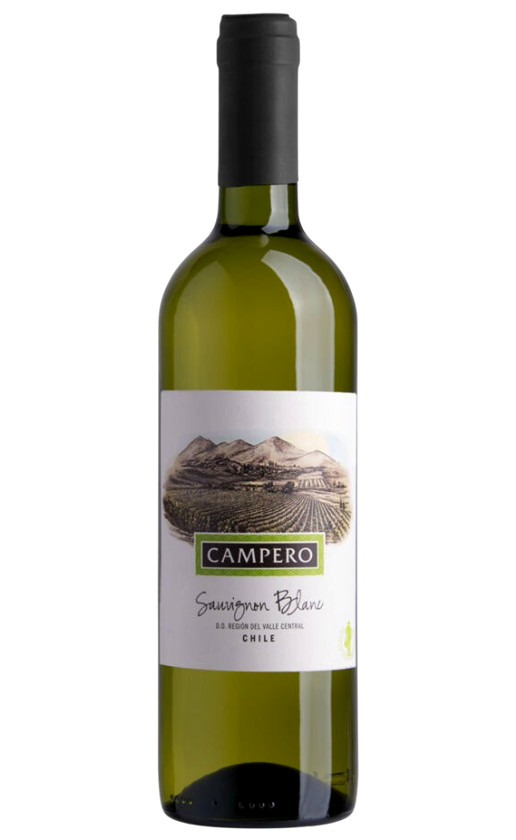 Campero Sauvignon Blanc