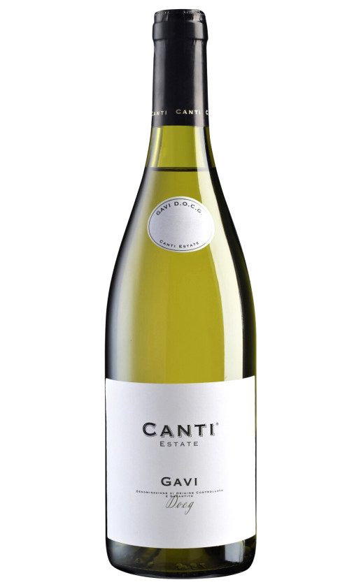 Canti Gavi 2019