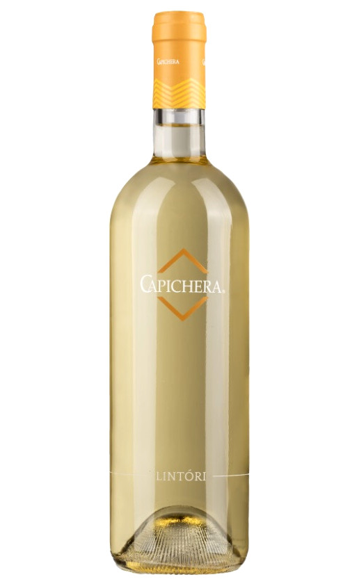 Capichera Lintori Isola dei Nuraghi 2019