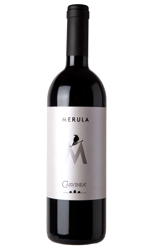 Carvinea Merula 2008