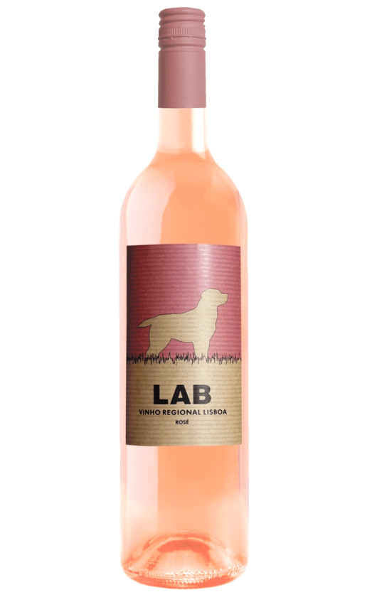 Casa Santos Lima Lab Rose