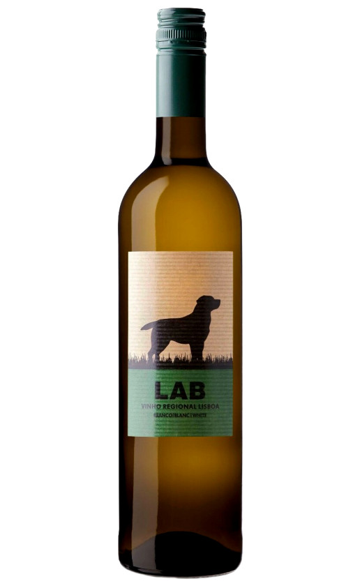 Casa Santos Lima Lab White