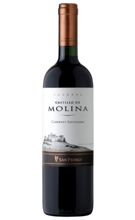 Castillo de Molina Cabernet Sauvignon Reserva 2008