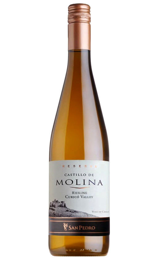 Castillo de Molina Riesling Reserva 2008