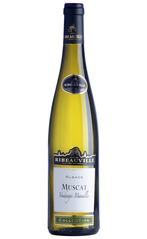 Cave de Ribeauville Muscat Vendanges Manuelles Alsace 2018