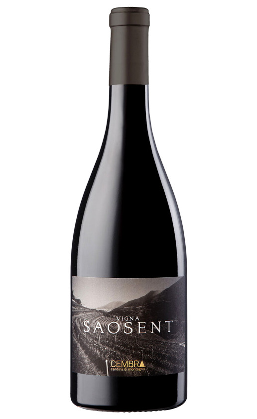Cembra Cantina di Montagna Vigna Saosent Pinot Nero Trentino 2016