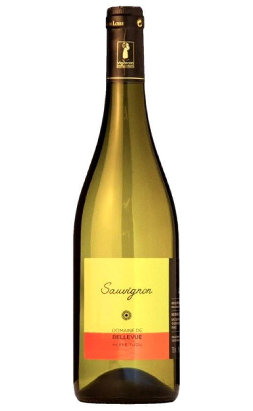 Chateau de Bellevue Sauvignon Val de Loire 2018