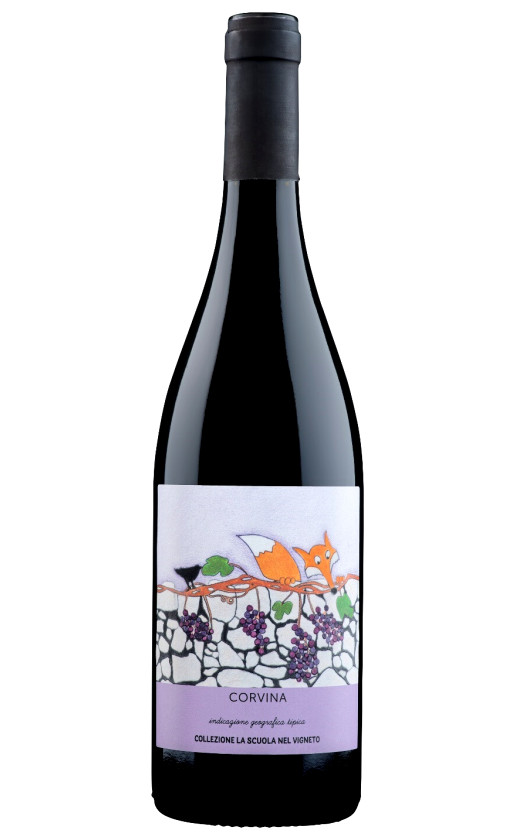 Collezione La Scuola nel Vigneto Corvina Veronese 2019
