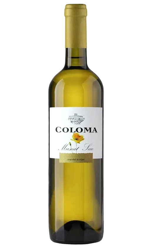 Coloma Muscat Blanco Joven