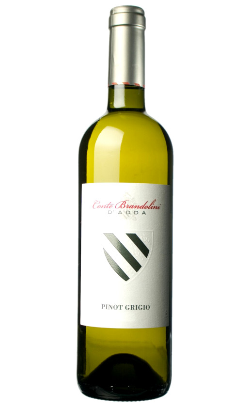 Conte Brandolini D'Adda Pinot Grigio Friuli Grave 2012