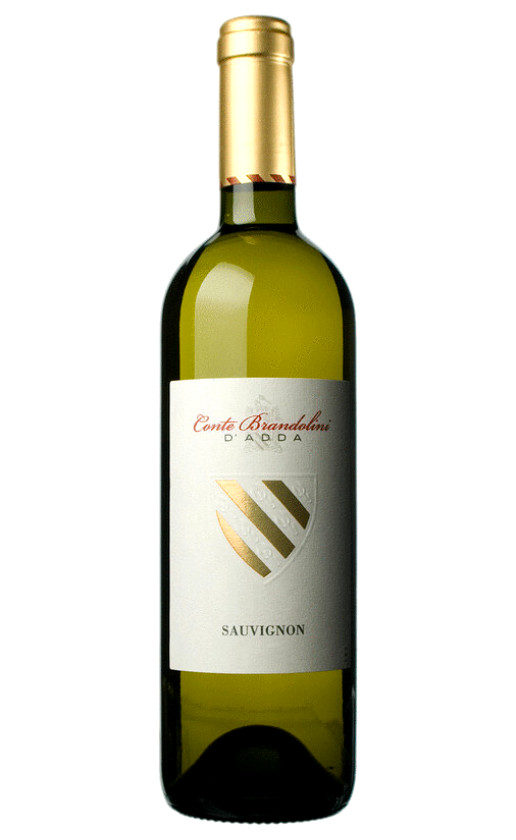 Conte Brandolini D'Adda Sauvignon Friuli Grave