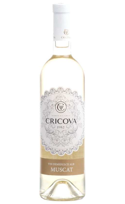 Cricova Lace Range Muscat