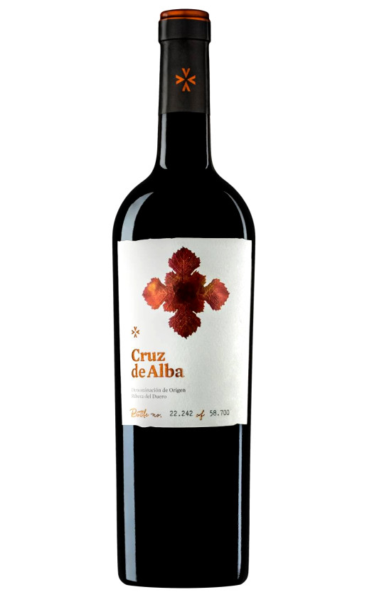 Cruz de Alba 2017