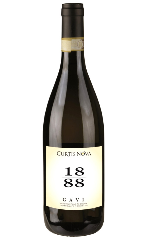 Curtis Nova 1888 Gavi 2020
