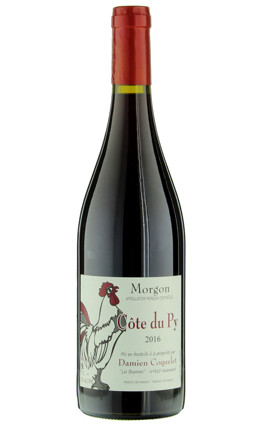 Damien Coquelet Cote du Py Morgon 2016
