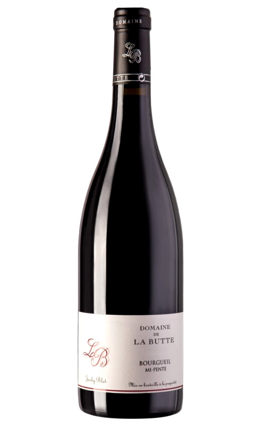 Domaine de la Butte Mi-Pente Bourgueil 2017