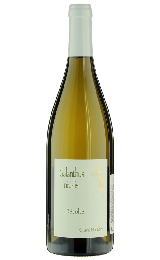 Domaine H. Naudin-Ferrand Galanthus Nivalis 2018